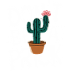 Cactus Cacti Desert Plant