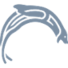 Celtic Sealion Logo