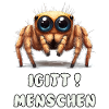 Funny spider with saying