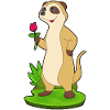 Meerkat Rose Flower