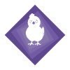 chicken egg chicks