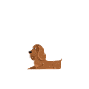 Cocker Spaniel Gifts