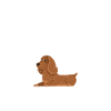 Cocker Spaniel Gifts