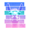 Alpaca