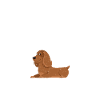 Cocker Spaniel Gifts
