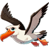 Albatross