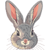 Bunny Bunnies