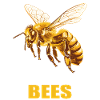 Abeilles Abeille
