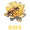 Bees Bee