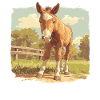 Horses Horse