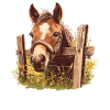 Pferde Pferd