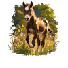 Pferde Pferd
