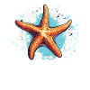 A starfish