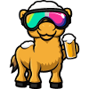 Bière après-ski Camel