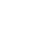 Cleaner