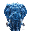 Elephant made of water