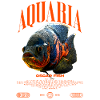 Oscar Fisch Wasserwechsel Monster Fisch