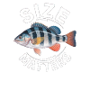 Size Matters