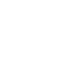 Legend 55