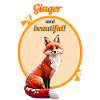 Ce beau renard roux
