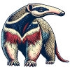 Anteater