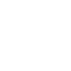 Computer scientist