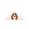 Cocker Spaniel Gifts