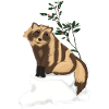 Tanuki under the mistletoe