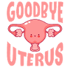 Goodbye Uterus Hysterectomy Surgical Menopause