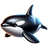 Orca Killer Whale