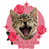 Cutesy Cat Statement T-Shirt