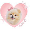 Cute AF Pomeranian