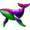 Whale