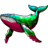 Whale