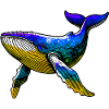 Whale