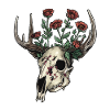 Wendigo Floral Skull Wild