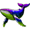 Whale