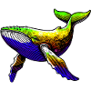 Whale