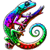 Gecko