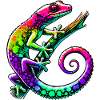 Gecko