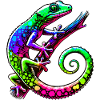 Gecko