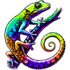 Gecko