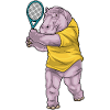 Hippopotamus Tennis Rackets