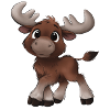 Cute Moose