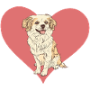Dog Dog Lover