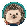 Hedgehog Porcupine