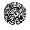 Stilvolles Zebra Tiere Schwarz-Weiß