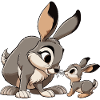 Hare with young gray
