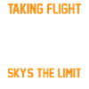 Drone Quadcopter Drone Pilot