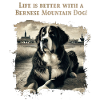 Berner Sennenhund